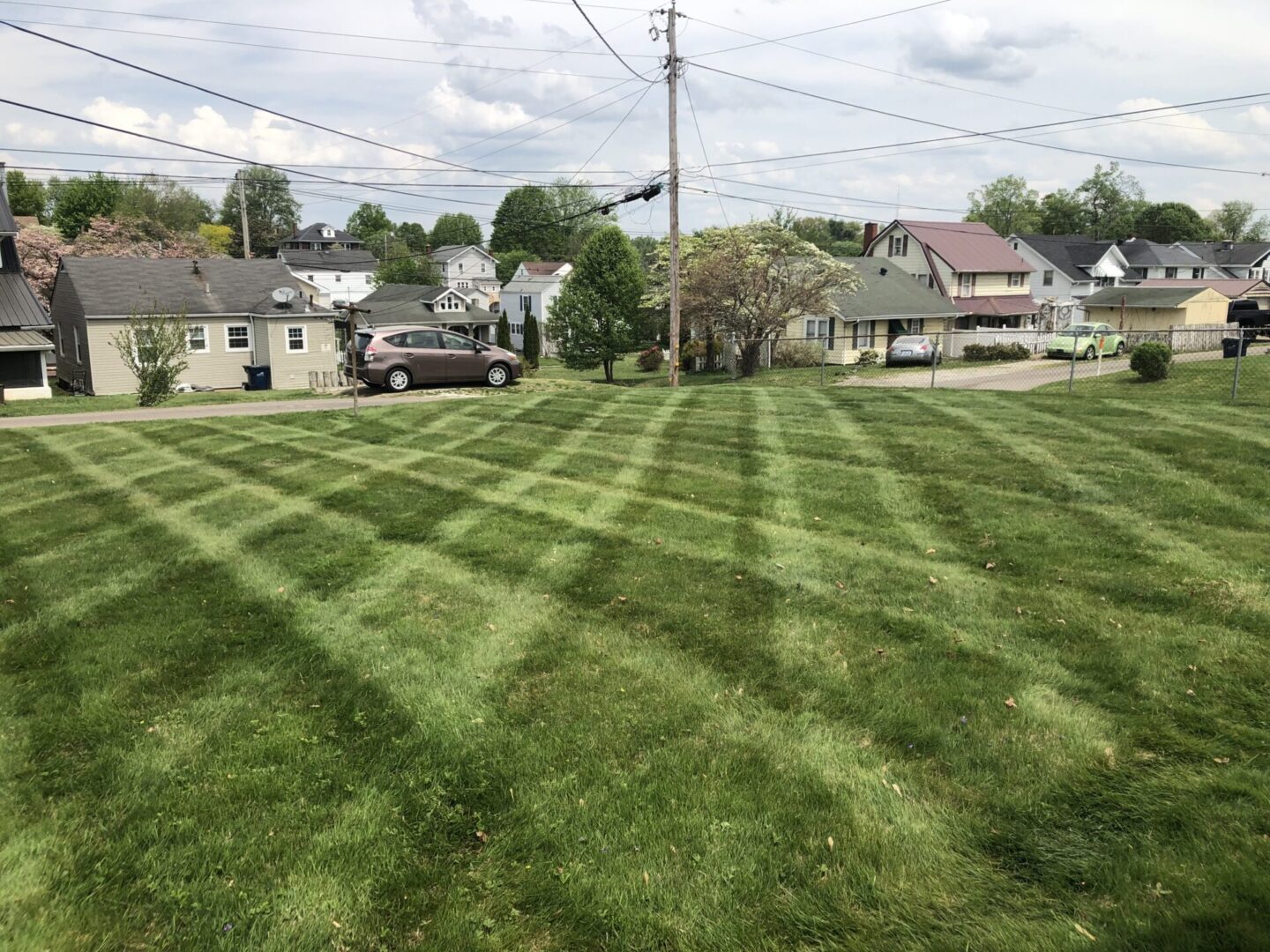 A view of a yard with lots of grass.